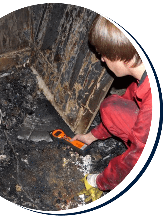 tiger_is_hot_property_for_german_fire