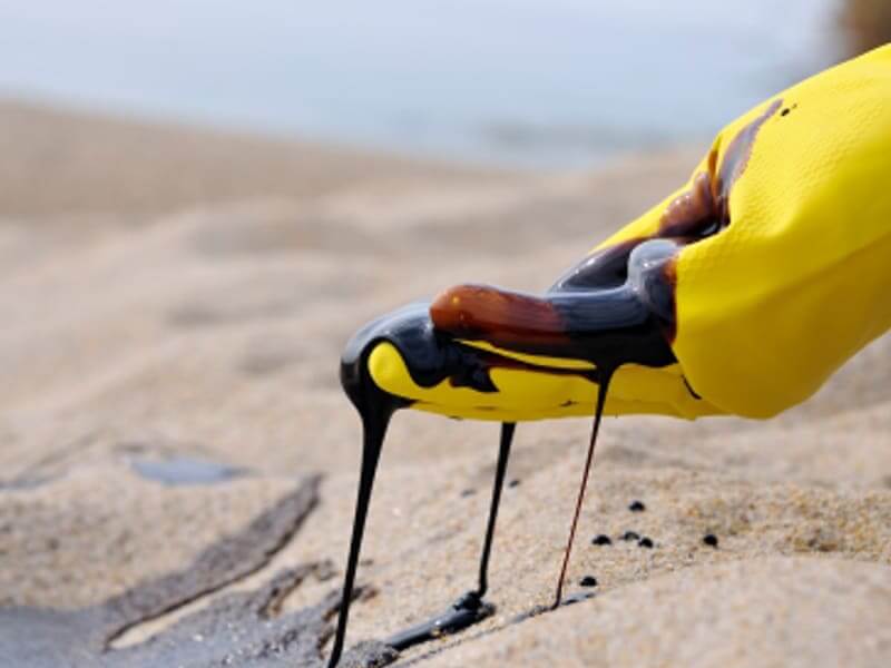 transportation-of-hazardous-materials-thumbnail