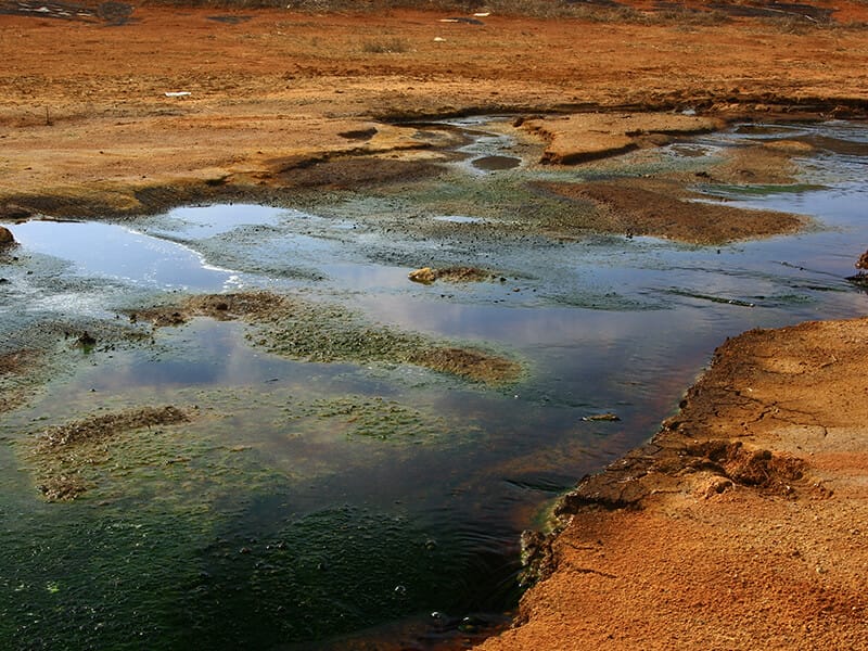 vocs-in-soil-thumbnail